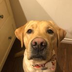 Madison Ennis - Facebook