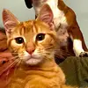 Madisyn Ennis - @madisyn.ennis - TikTok