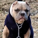 @ensleymoneymanmadison - Instagram