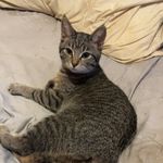 madison leigh erwin - @maddieerwin03 - Instagram