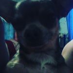 Madison Miller - @fieldingmadison94 - Instagram