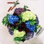 Madison Flower Shop - @madisonflowershop - Instagram