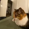 Madison Court - @madisonfoley - TikTok