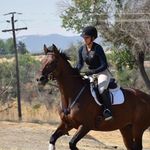 Madison Gentry - @mg_eventer - Instagram