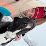 Madison Gill - @madisonegill12 - Instagram