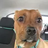 madison - @madison.gilman - TikTok