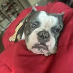 Madison Glick - Facebook