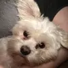 madison_glover!! - @madisonn.....gloverr - TikTok