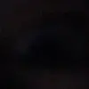 madisongraberbrook - @madisongraberbrook - TikTok