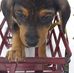 Madison Granger - Facebook