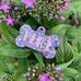 Madison Grey Designs - Facebook