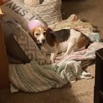 Madison Halstead - @maddy_26282 - Instagram