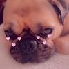 Madison Hardin - @winstontheloafofbread - TikTok