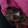 madisonbromleyharker - @oscarsos - TikTok