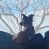 Madison Hatton - @madison.hatton6 - TikTok