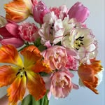 Madison Henry Love — River Blossoms - @riverblossomsflowerfarm - Instagram
