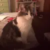 Madison - @madison.hester - TikTok