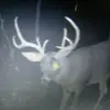 madisonhinson - @madisonhinson02 - TikTok