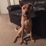 Madison Hodges - @hodges_madison - Instagram