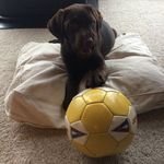 Madison Hopper - @maddygrasshops - Instagram