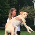 Madison - @madison_houle15 - Instagram