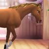 Madison House - @madison.house0 - TikTok