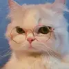 Madison Hull - @madison.hull4 - TikTok