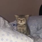 Madison Jeffries - Facebook