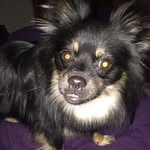 halei madison jeter - @love_puppies5803 - Instagram