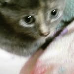 Taylor Madison Karr - @rainbowuincornpoop - Instagram