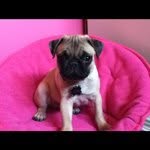 @madisonkemnitz24 - Instagram