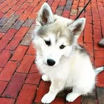 MadisonKnott - @madison_loves_chips - Instagram