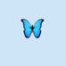 Madison Lampe - Facebook