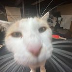 Madison Laskey - Facebook