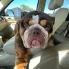 Madisonlatimer - @madisonlatimer03 - TikTok