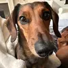 Madison - @madisonlaycock - TikTok