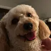 madison_lay - @madison_lay6 - TikTok