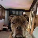 Madison Lea - Facebook