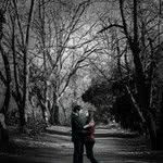 Madison Levy - @madisons_whimsies - Instagram
