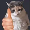 madisonli - @eatwithyouers - TikTok