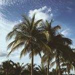 Madison Light - @madison_lightbulb - Instagram