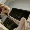 madison.Lilly - @madison.lilly0 - TikTok