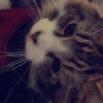 Maddison Loucks - Facebook