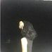 Madi Lyn Delmiguez - Facebook