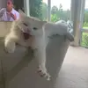 Mace the Face - @macy.madison28 - TikTok