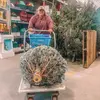 Madison Mahon - @madison.mahon7 - TikTok