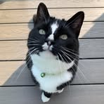 Madison Major - Facebook