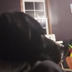 Madison Masters - @madisonmasters5 - Instagram