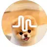 Madison Mathias - @madisonmathias4 - TikTok