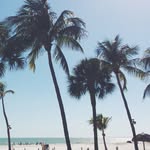 Madison Mayer - @madisonpunch - Instagram